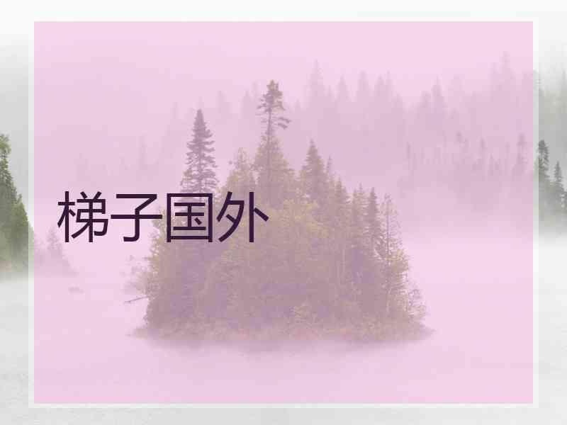 梯子国外