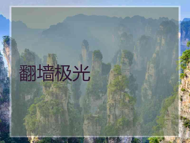 翻墙极光