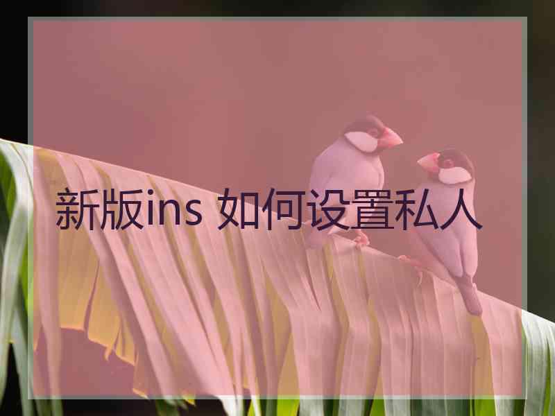新版ins 如何设置私人