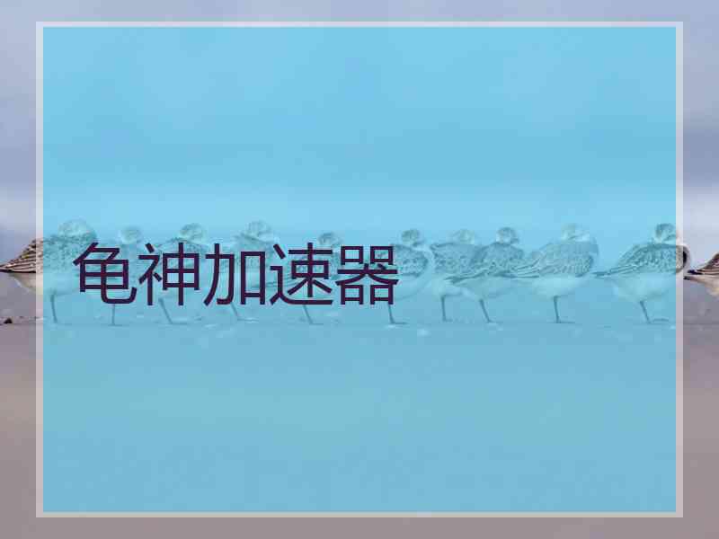 龟神加速器