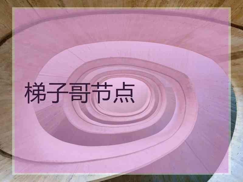 梯子哥节点