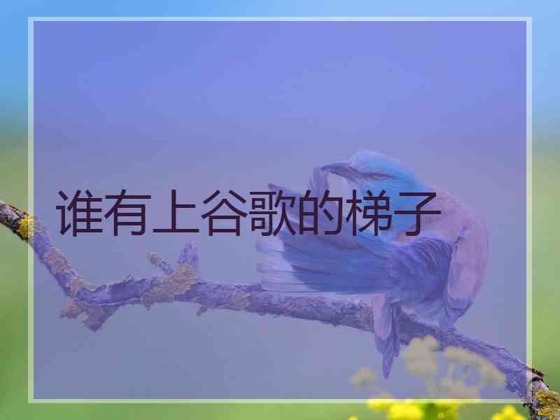 谁有上谷歌的梯子