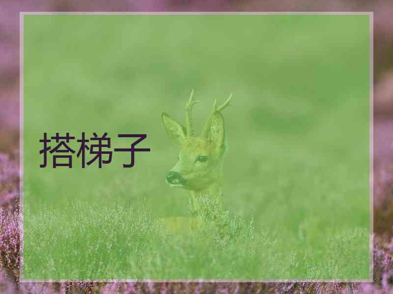 搭梯子