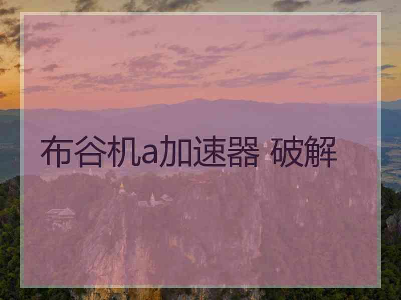 布谷机a加速器 破解