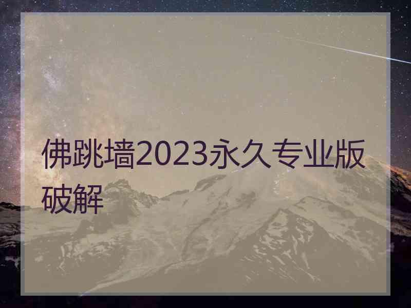 佛跳墙2023永久专业版破解