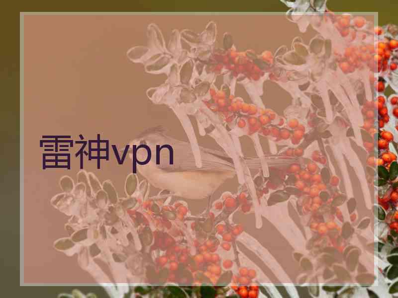 雷神vpn