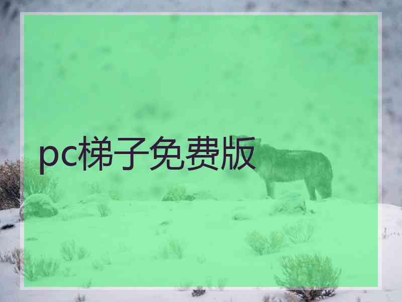 pc梯子免费版