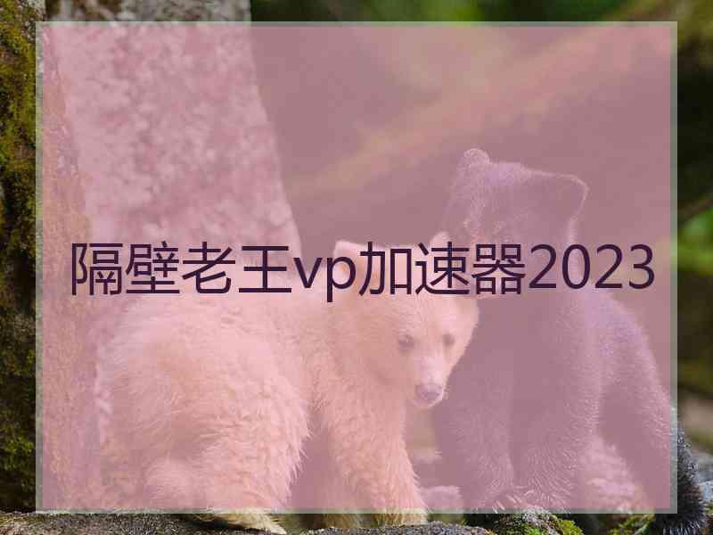 隔壁老王vp加速器2023