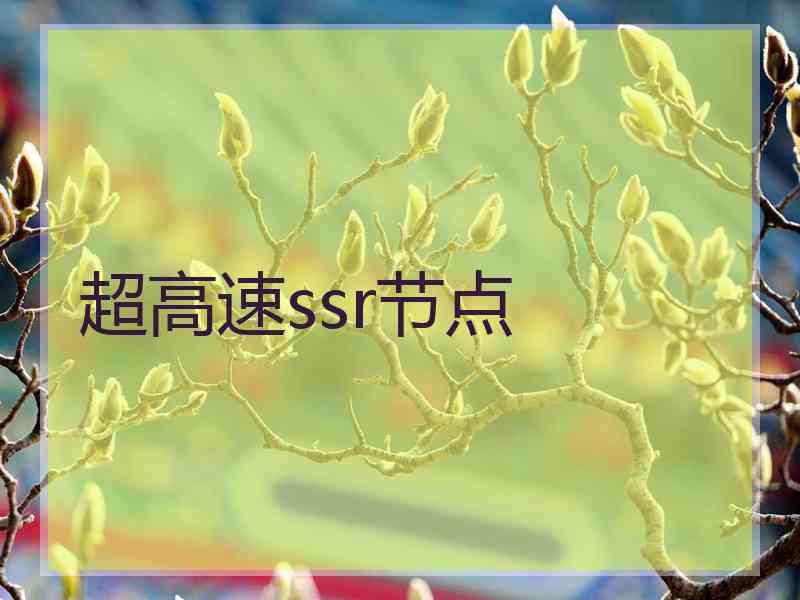 超高速ssr节点