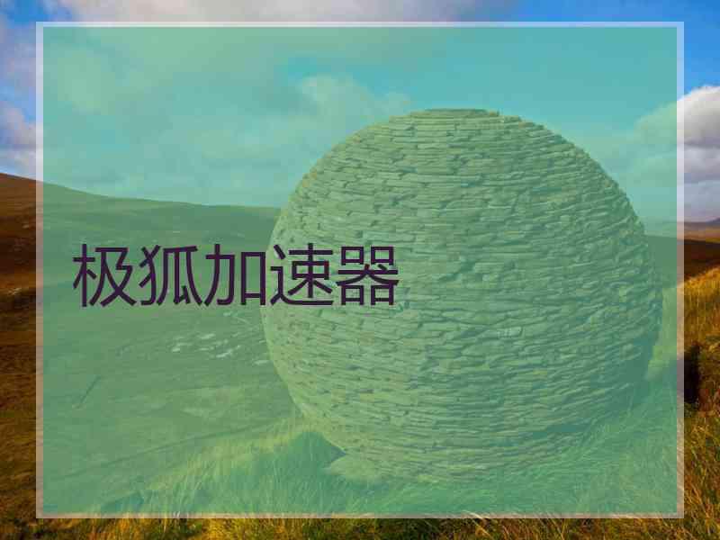 极狐加速器