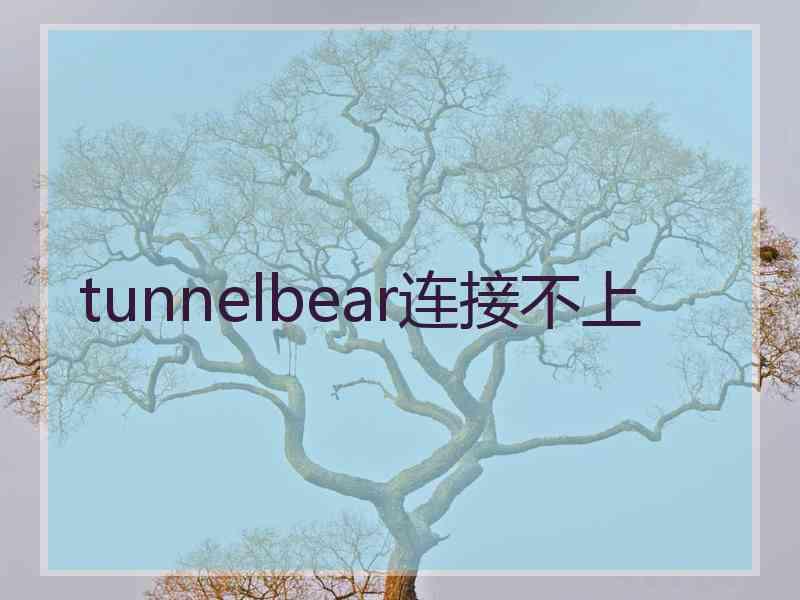 tunnelbear连接不上