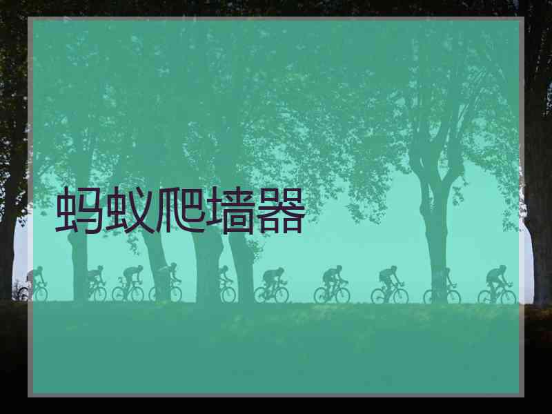 蚂蚁爬墙器