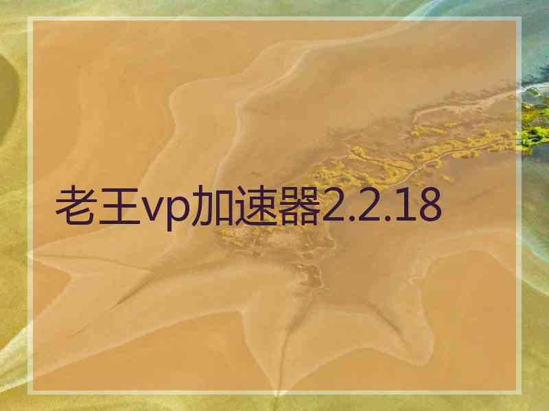 老王vp加速器2.2.18