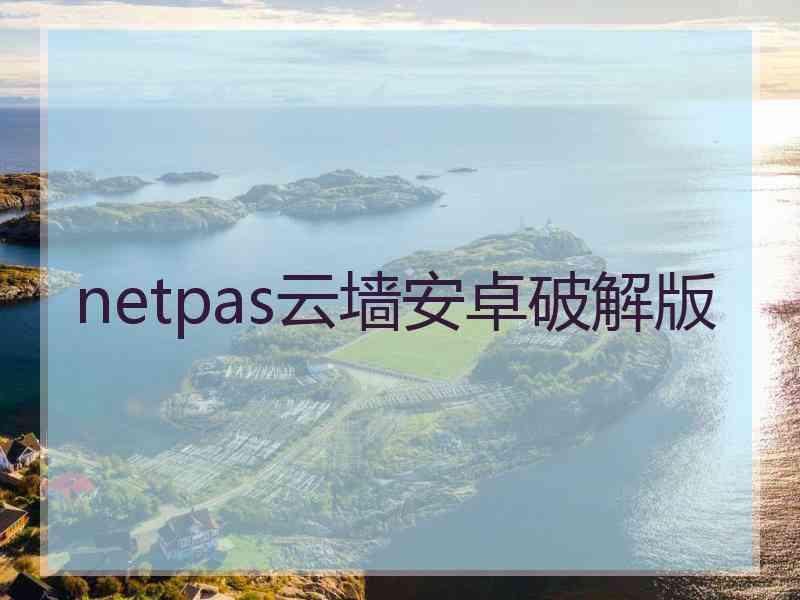 netpas云墙安卓破解版