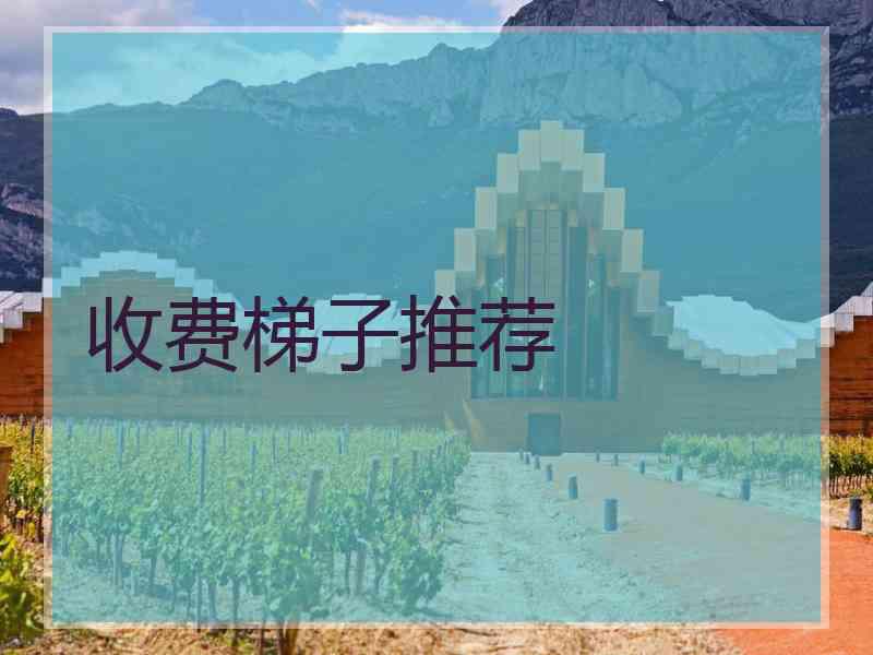 收费梯子推荐
