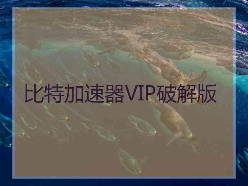 比特加速器VIP破解版
