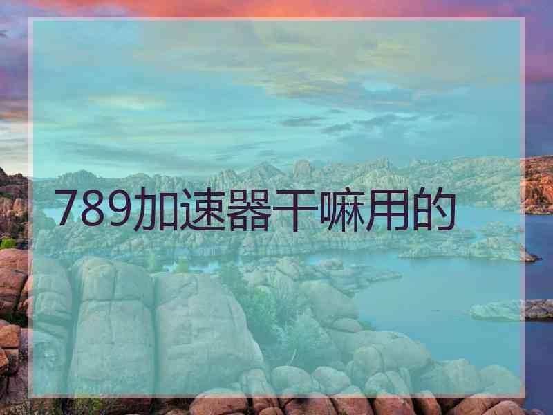 789加速器干嘛用的