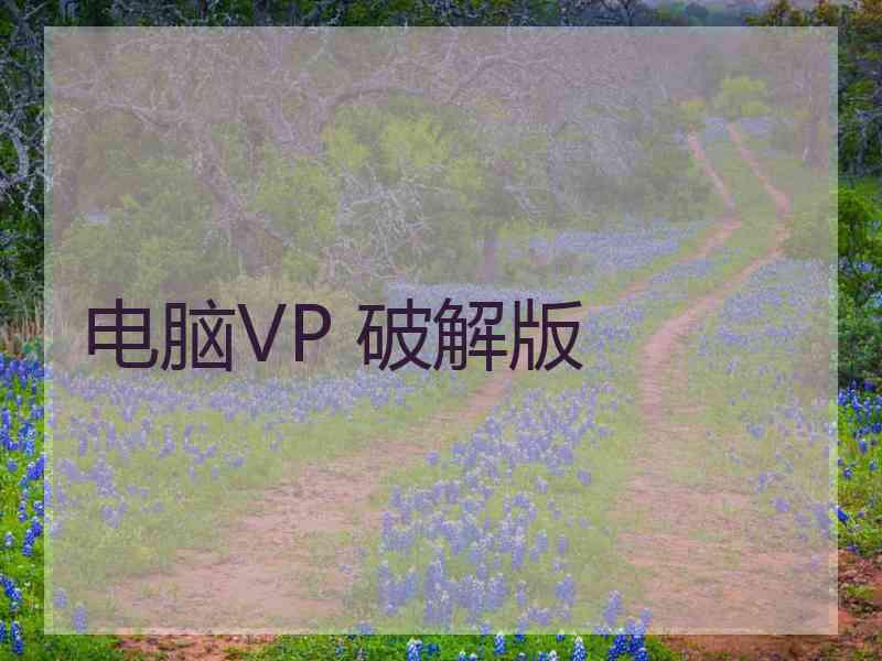 电脑VP 破解版