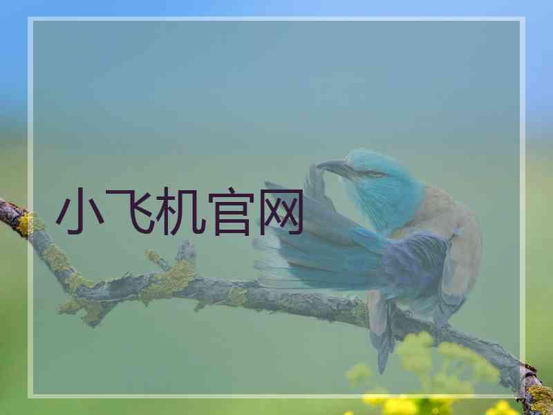 小飞机官网