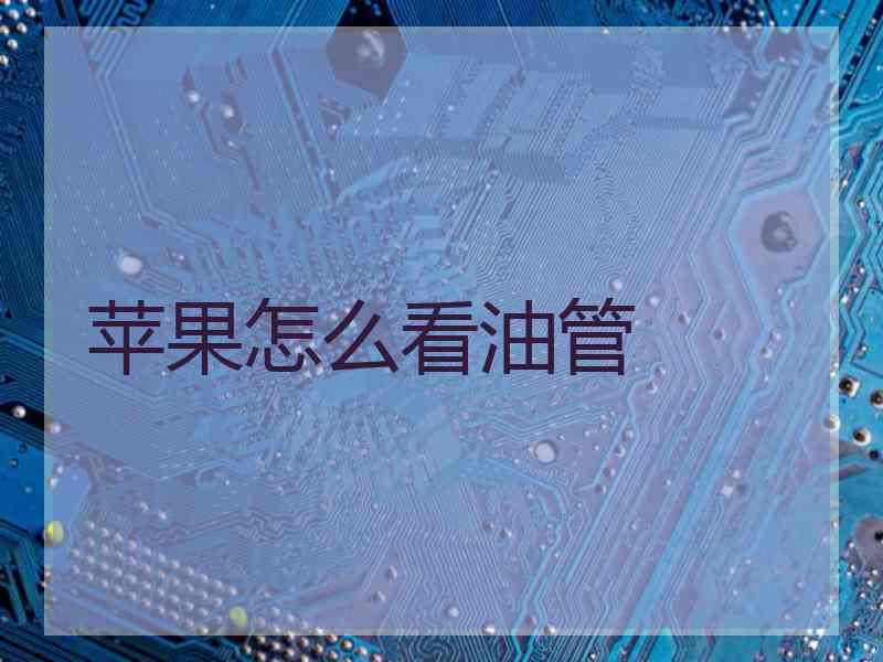 苹果怎么看油管