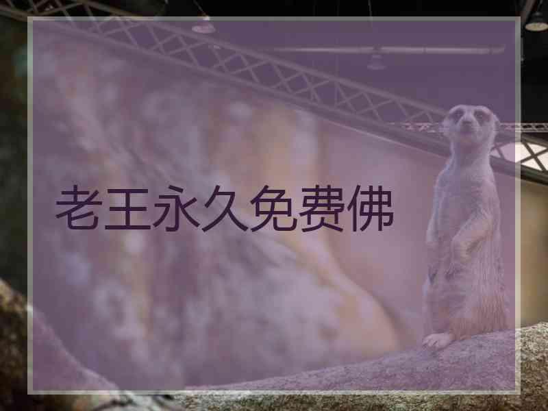 老王永久免费佛