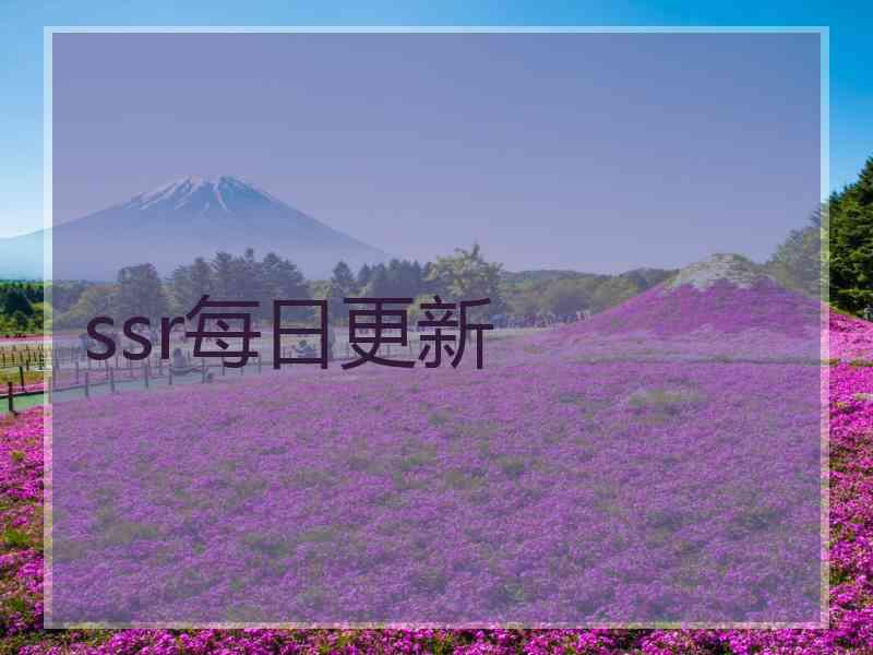 ssr每日更新