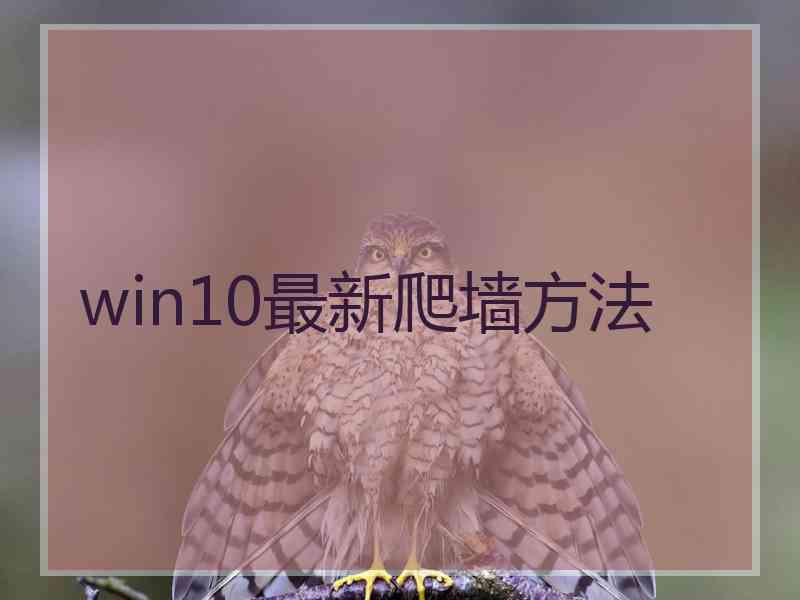 win10最新爬墙方法