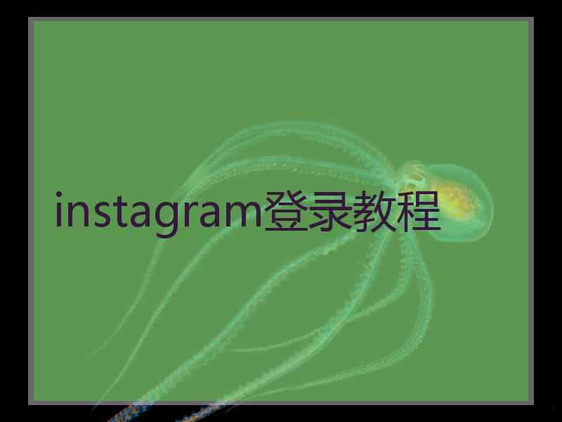 instagram登录教程
