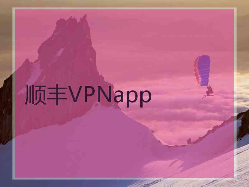 顺丰VPNapp