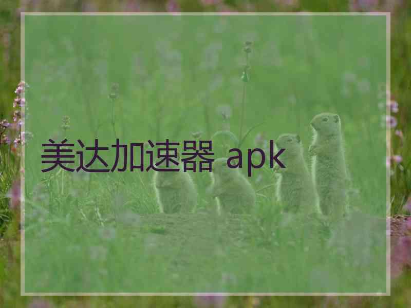 美达加速器 apk
