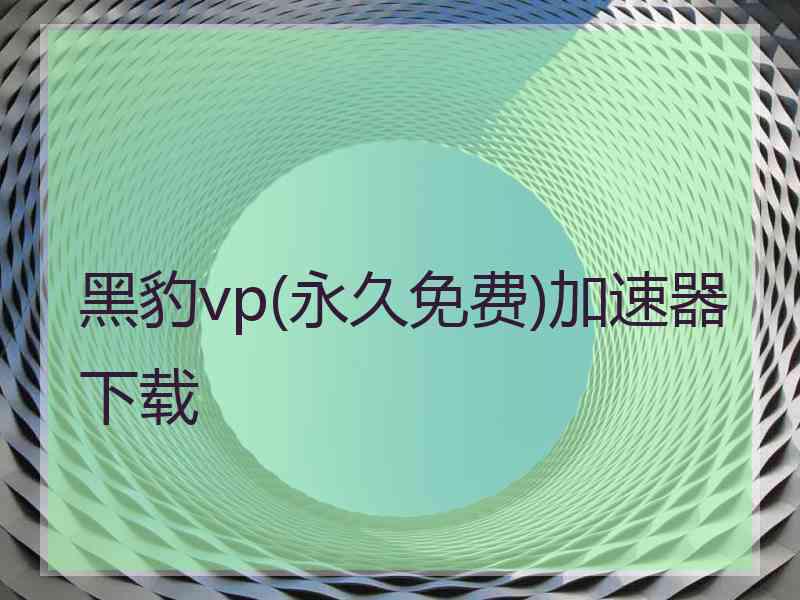黑豹vp(永久免费)加速器下载