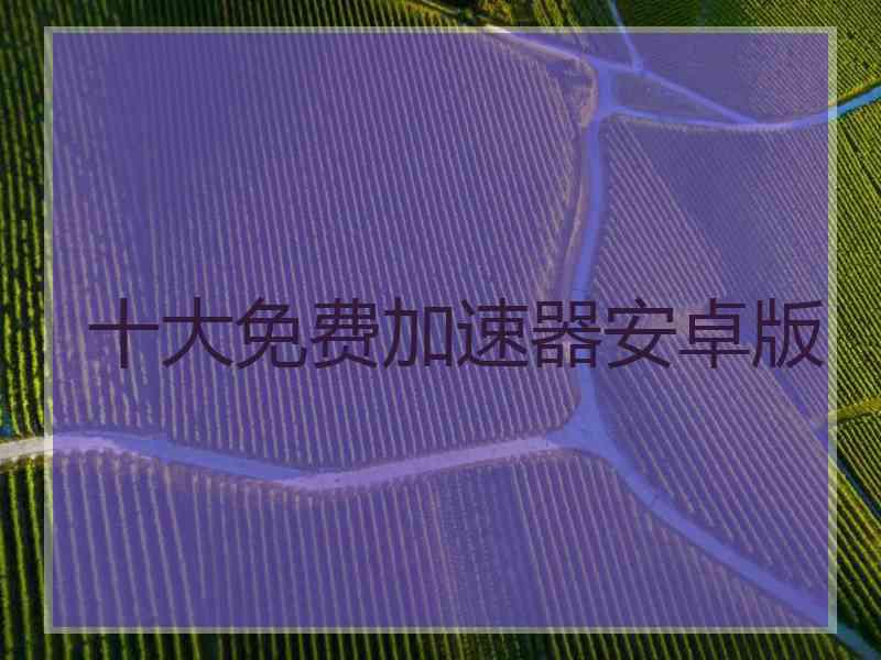 十大免费加速器安卓版