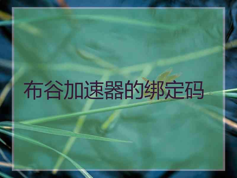 布谷加速器的绑定码