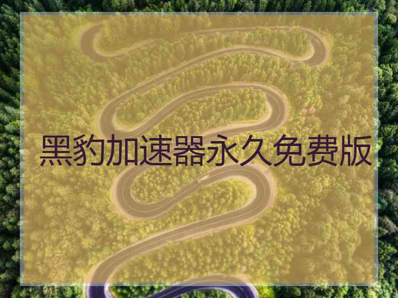 黑豹加速器永久免费版