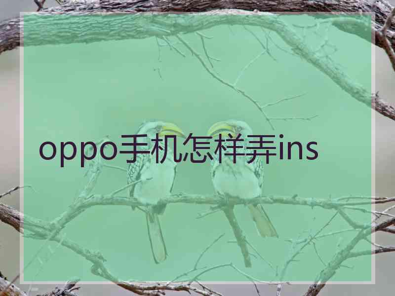 oppo手机怎样弄ins
