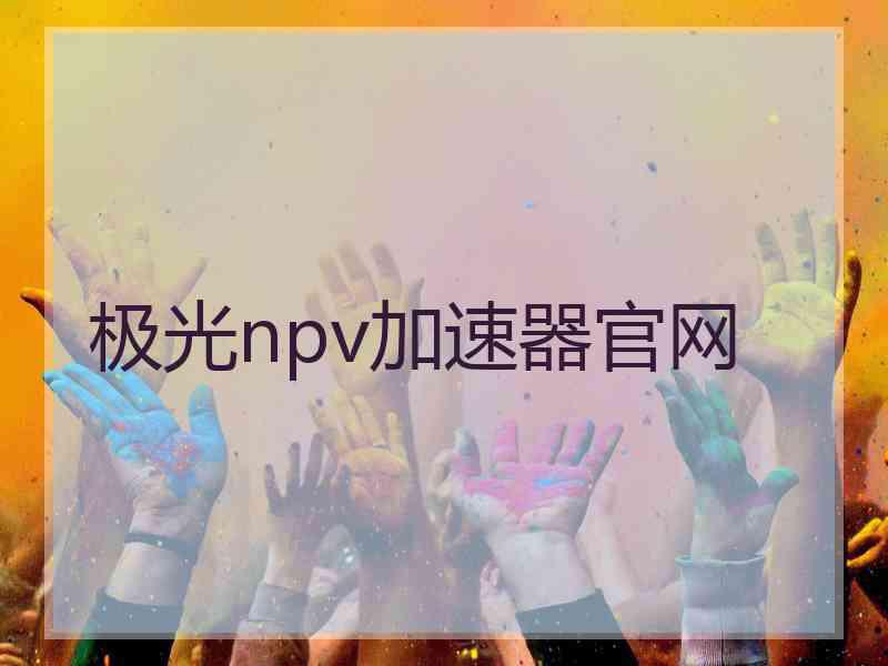 极光npv加速器官网