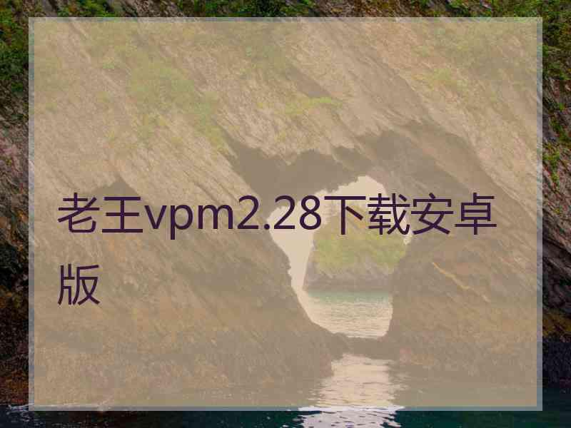 老王vpm2.28下载安卓版