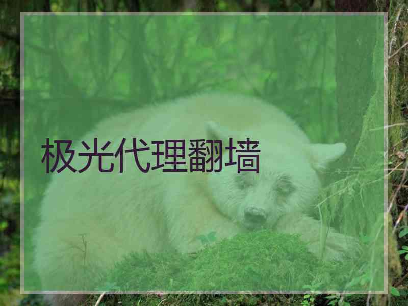 极光代理翻墙