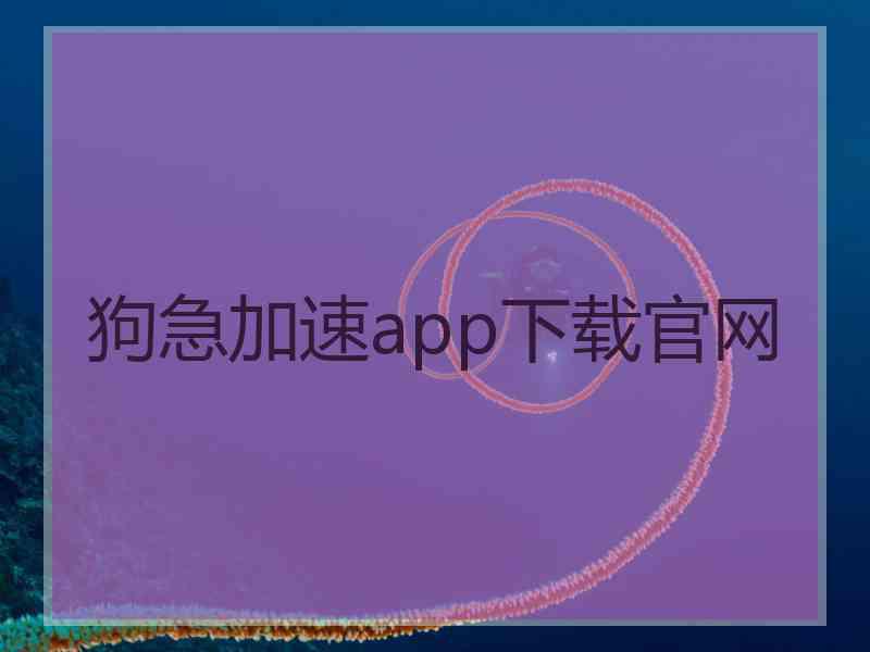 狗急加速app下载官网