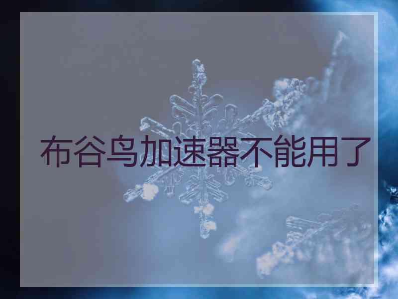 布谷鸟加速器不能用了