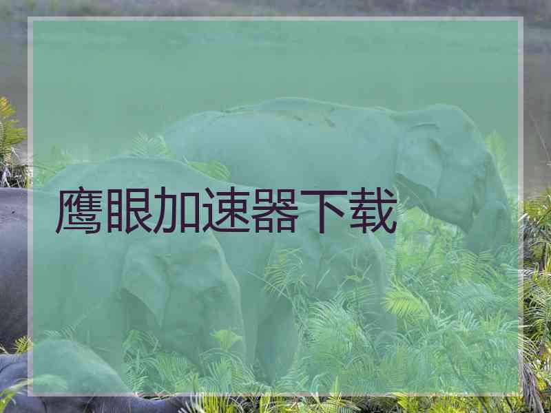 鹰眼加速器下载