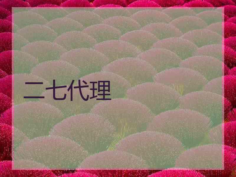 二七代理