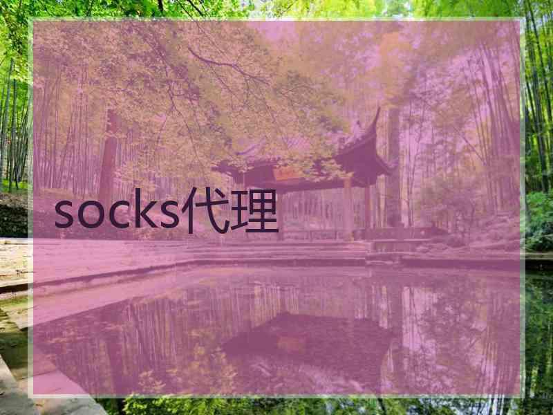 socks代理
