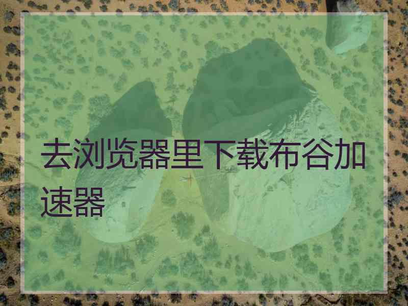 去浏览器里下载布谷加速器