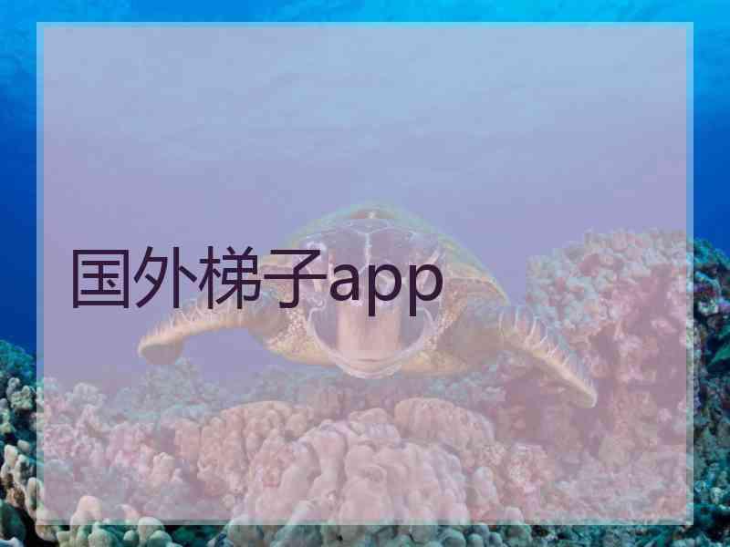 国外梯子app