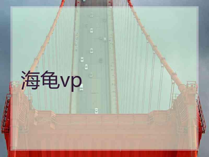 海龟vp
