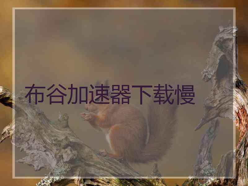 布谷加速器下载慢