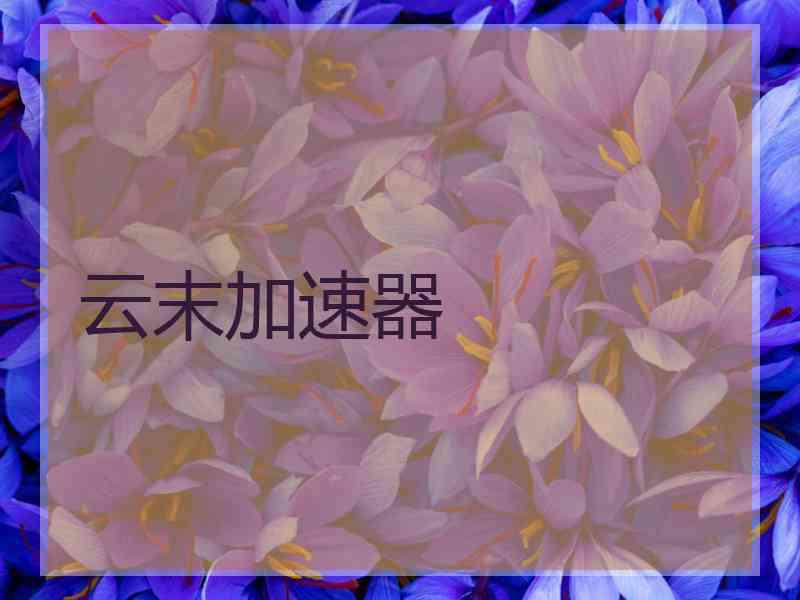 云末加速器