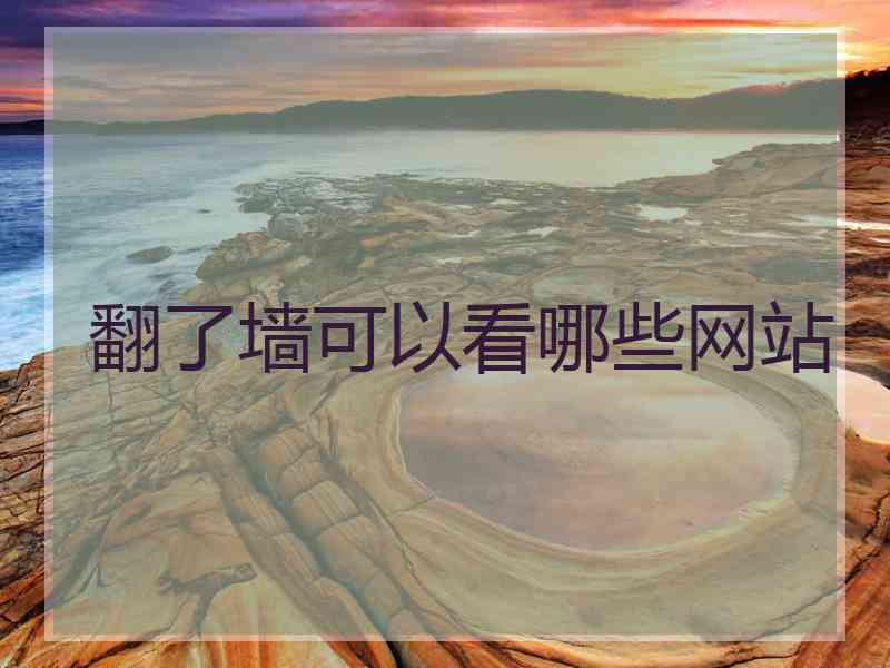 翻了墙可以看哪些网站
