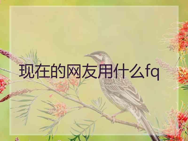现在的网友用什么fq